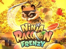 Ninja Raccoon Frenzy