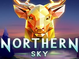 Northern Sky screenshot